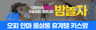 밤놀자 평생주소 유흥정보