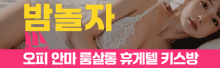 밤놀자 평생주소 유흥정보