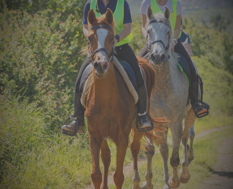 E4C85510-AD42-4587-AE60-675B4EAA297D_edi