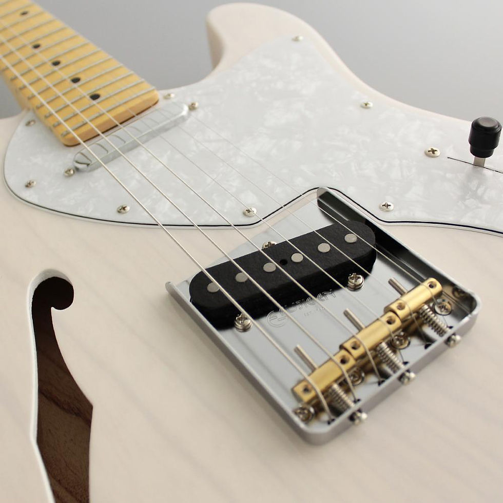 Miniaturbild: FGN E-Gitarre, Neo Classic TE100, SS FGN Pickups, F-Loch, White Blonde