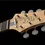 Miniaturbild: PRS Silver Sky Limited Edition "Dead Spec"