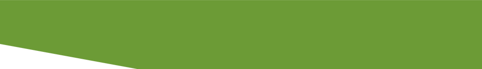 A decorative green bar