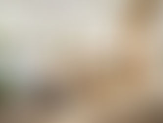 Just Married? 6 Estate Planning Essentials for Newlyweds—Part 2