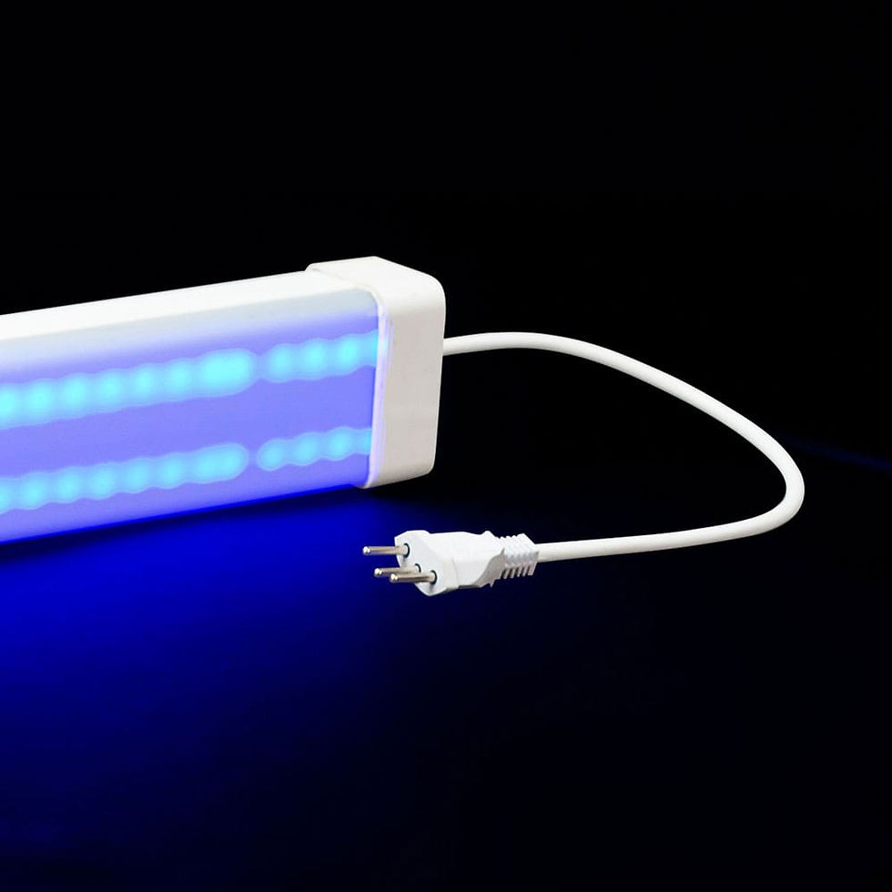 Miniatura: LUMINÁRIA HERMÉTICA IP69K - LH60 - AZUL