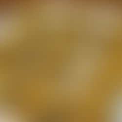    Vegan Pumpkin Apple Muffins