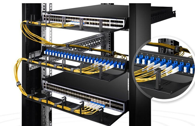 fiber (1).jpg