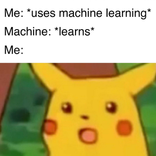Memetic Memory: What Memes Can Teach Us About Machine Learning