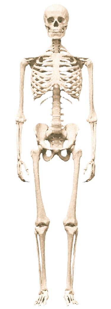 front.png