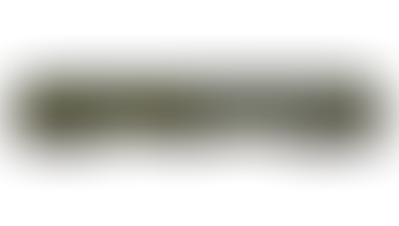 ARRIVED: BROADWAY LIMITED IMPORTS 9117 CN Coach Baggage Combine