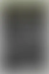 A Review of "Do Theophanies Identify God the Son?"