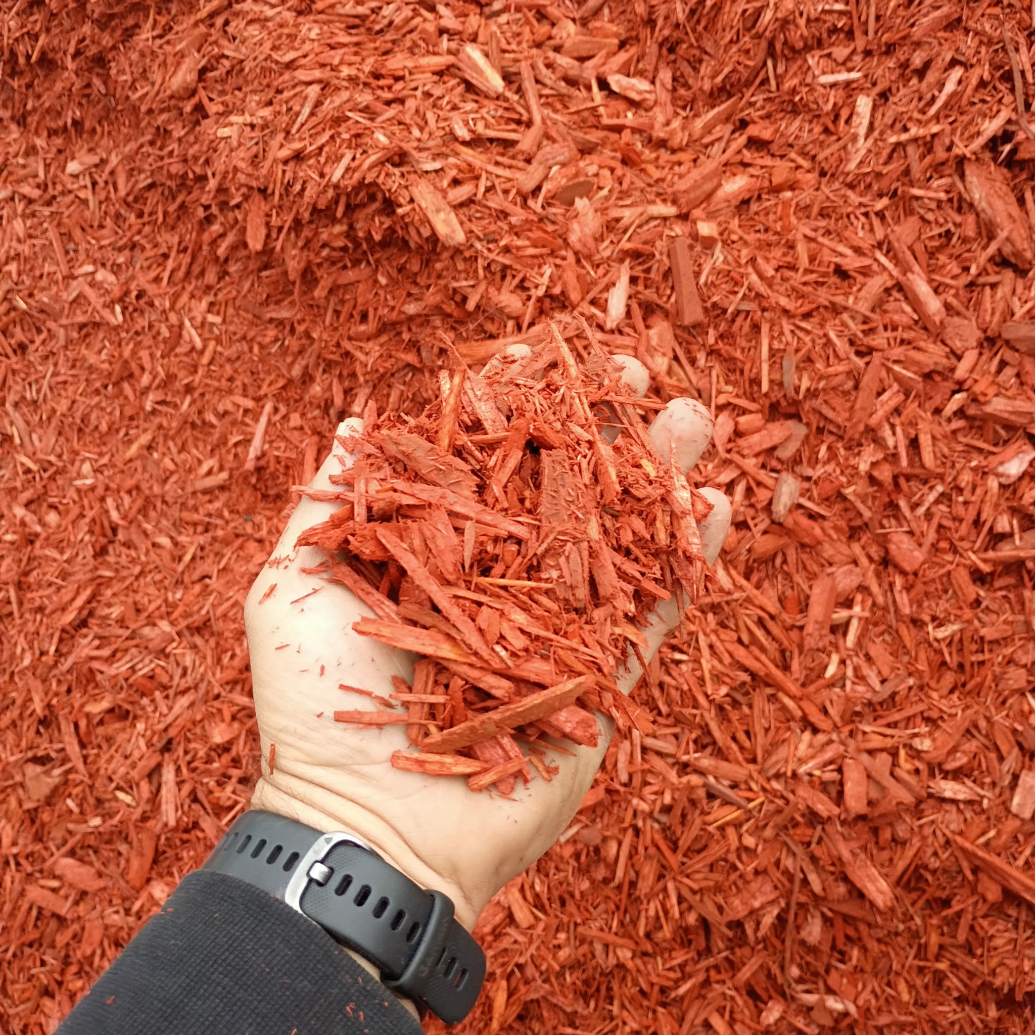 Color Enhanced Vibrant Red Mulch
