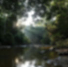 Nature-distant light