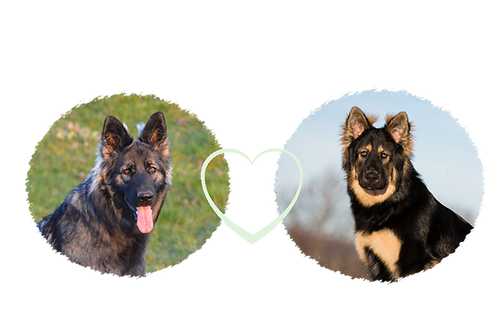 profil mariage siwu Sora.png