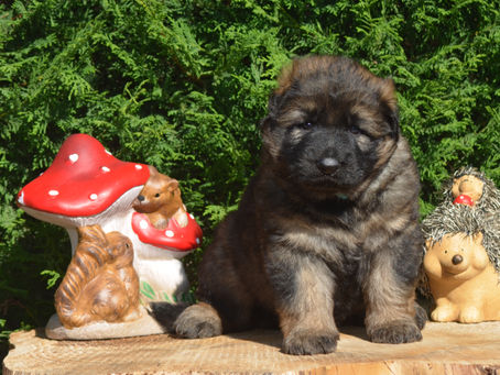 Encore une petit coeur à prendre !