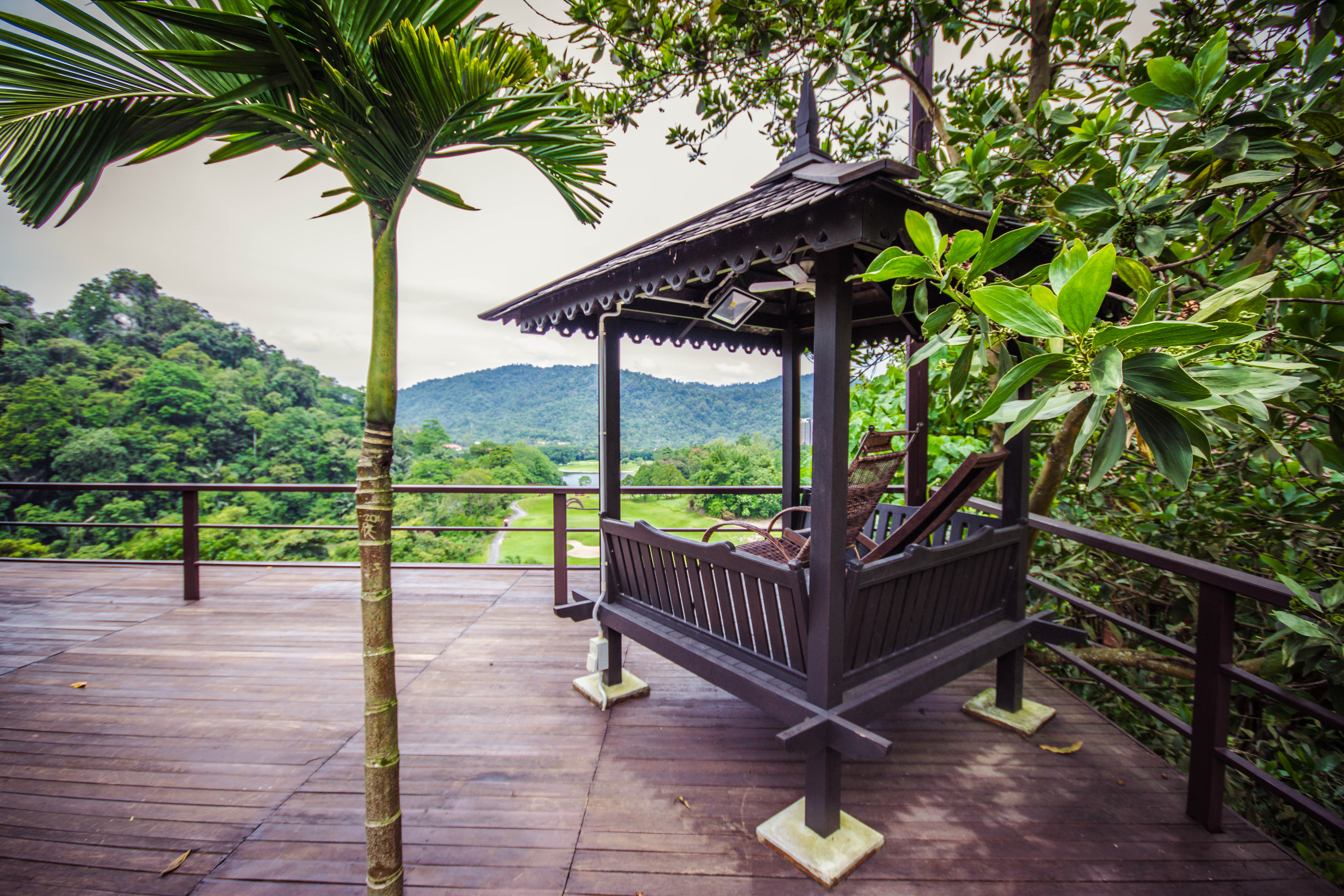 Templer Park Rainforest Retreat Escape the Concrete Jungle to Nature