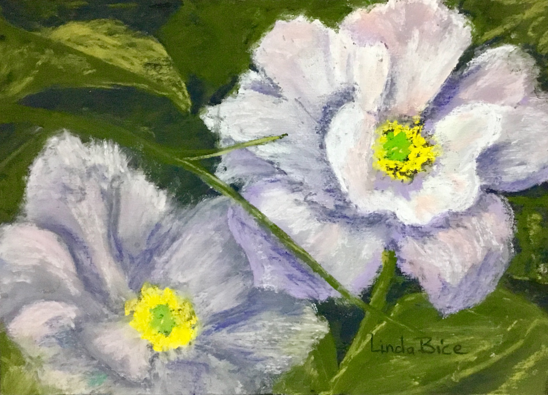 Wood's Peonies