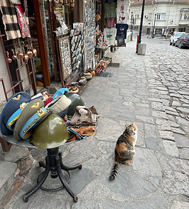 Balkans (6).HEIC