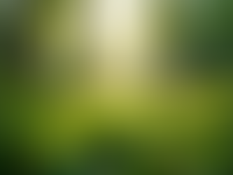 The Importance of Sustainable Living in Today's World