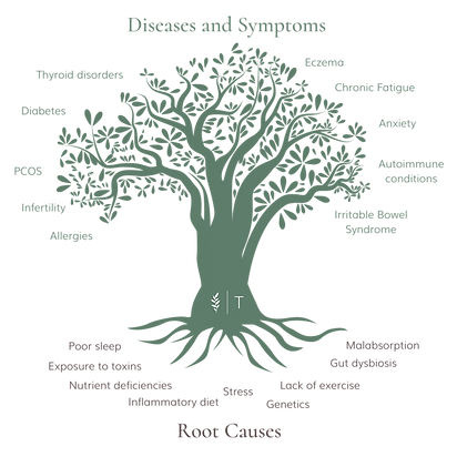 Root Causes Tree (1).png