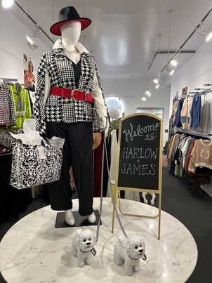 Welcome to Harlow and James plus size boutique display featuring houndstooth jacket outfit with red belt and hat in West Des Moines Iowa