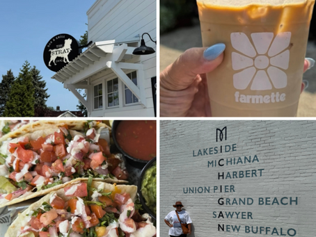 New Buffalo Michigan highlights — Stray Dog Bar & Grill, Farmette iced coffee, fish tacos, and Southwest Michigan mural.