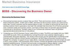 BOSS- Discovering the Business Owner