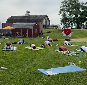 elisa yoga on the lawn at the farm.jpeg