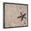Thumbnail: Starfish Framed Premium Gallery Wrap Canvas