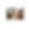 Untitled design (3).png