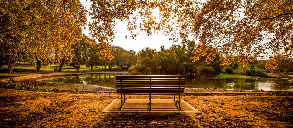 Triune Brain in Psychotherapy: Integration (Part 2)