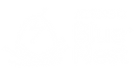 Blue Nest (R) Logo - White.png