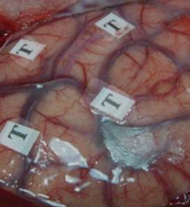 Screenshot 2025-07-09 190450.png