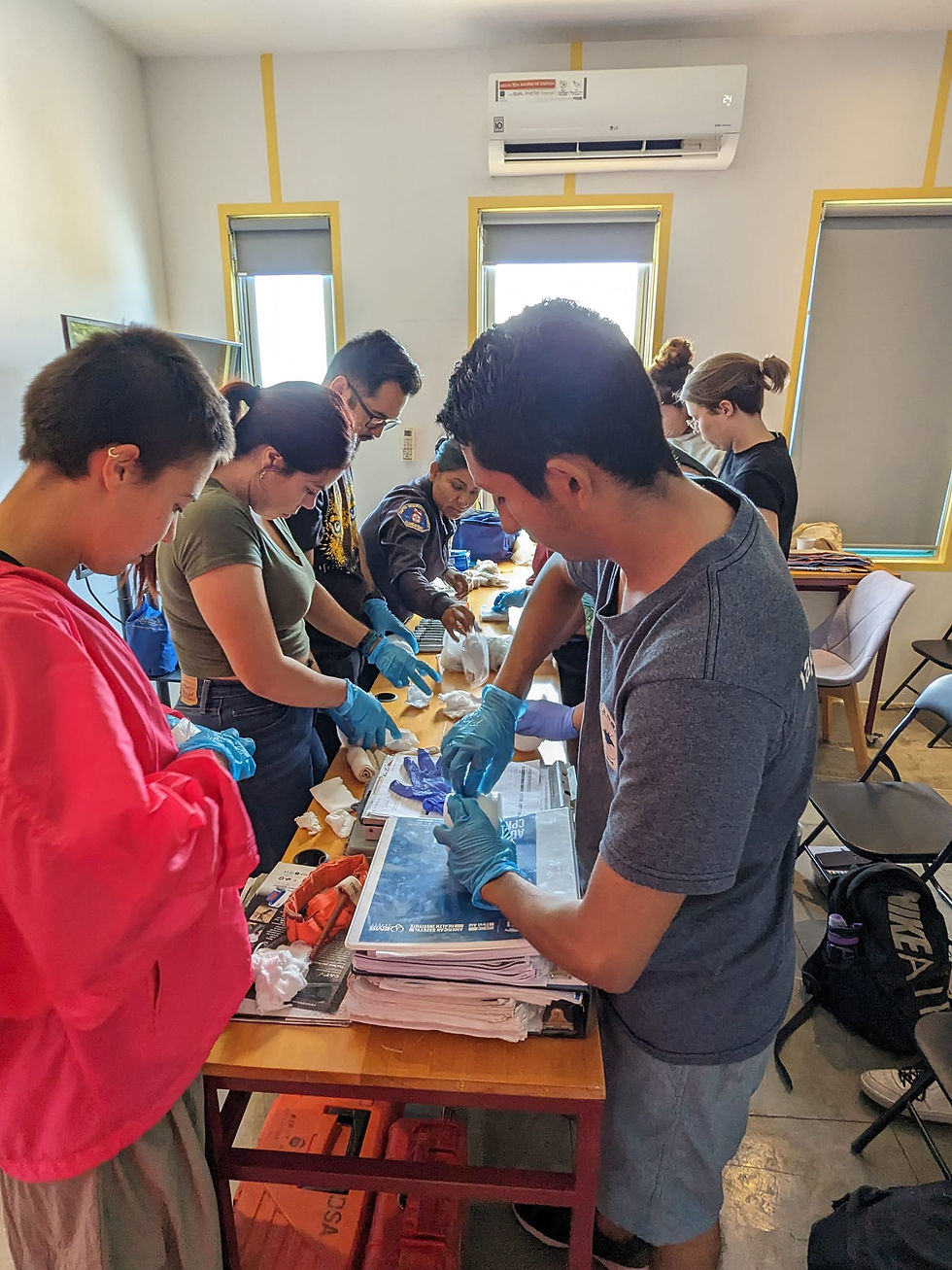 Miniatura: Stop The Bleed® Course
