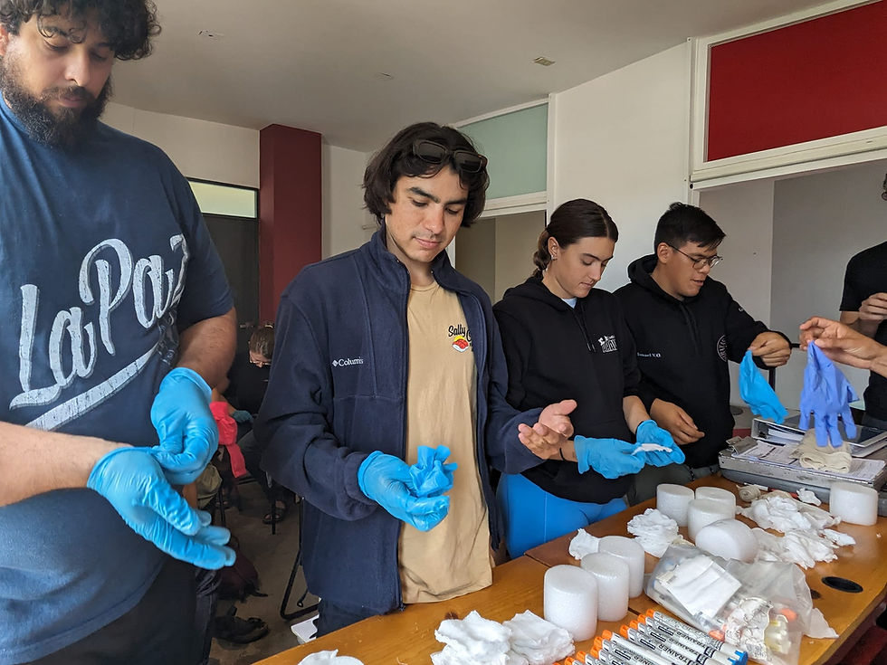 Miniatura: Stop The Bleed® Course