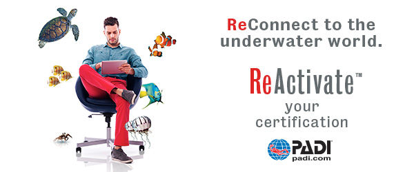 Miniatura: PADI® ReActivate™ Program