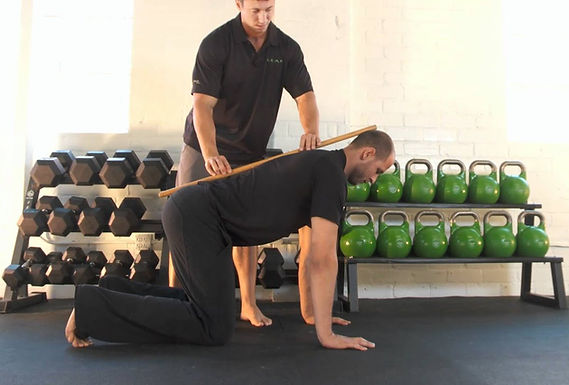 bird dog with coach.jpg