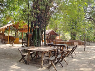 Rustic, open-air communal dining and activity shelter with a thatched roof in a bamboo grove at Camp Kyari, Syat. Highlights the authentic, non-resort jungle camping experience near Jim Corbett.