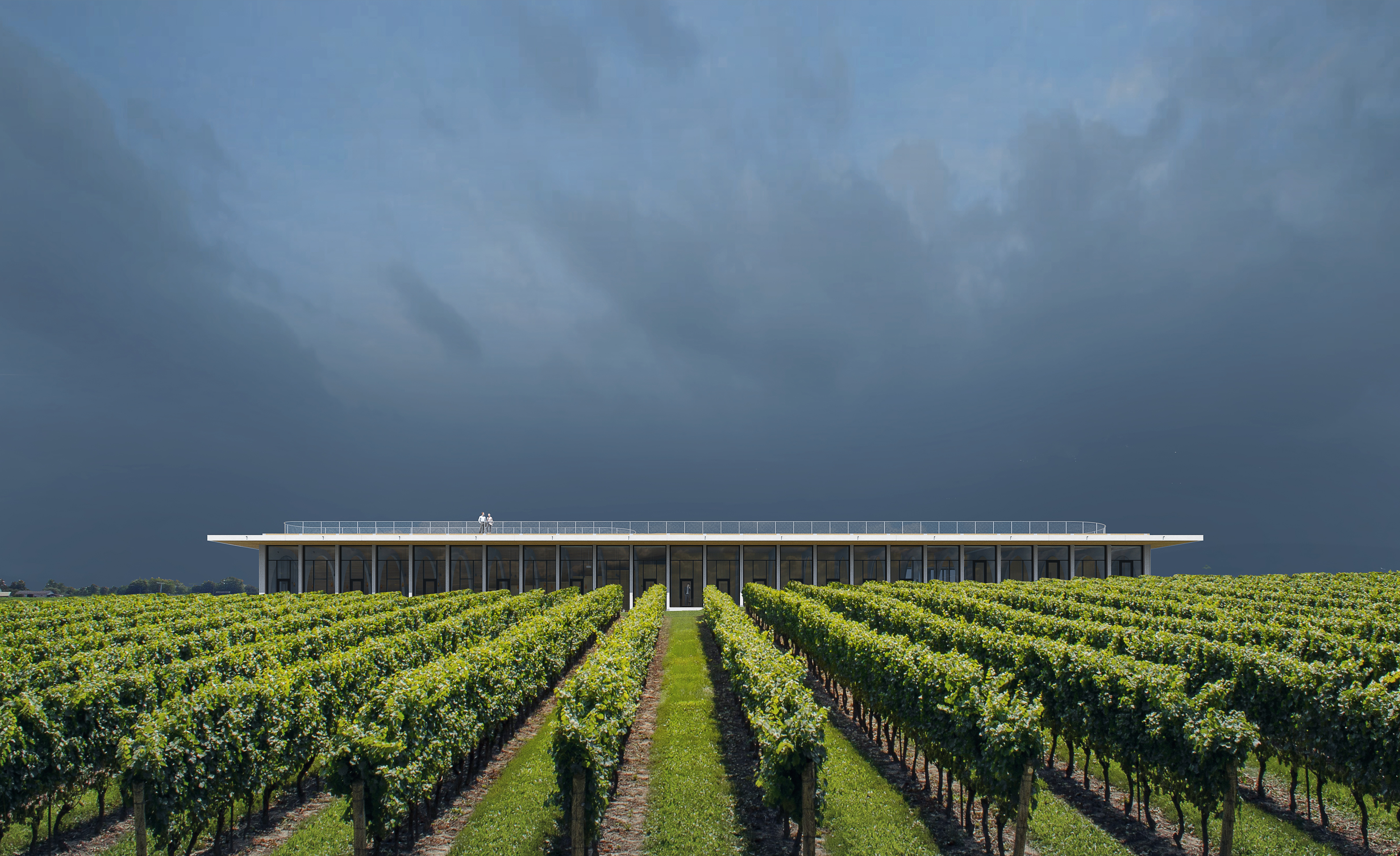 visualization render image winery