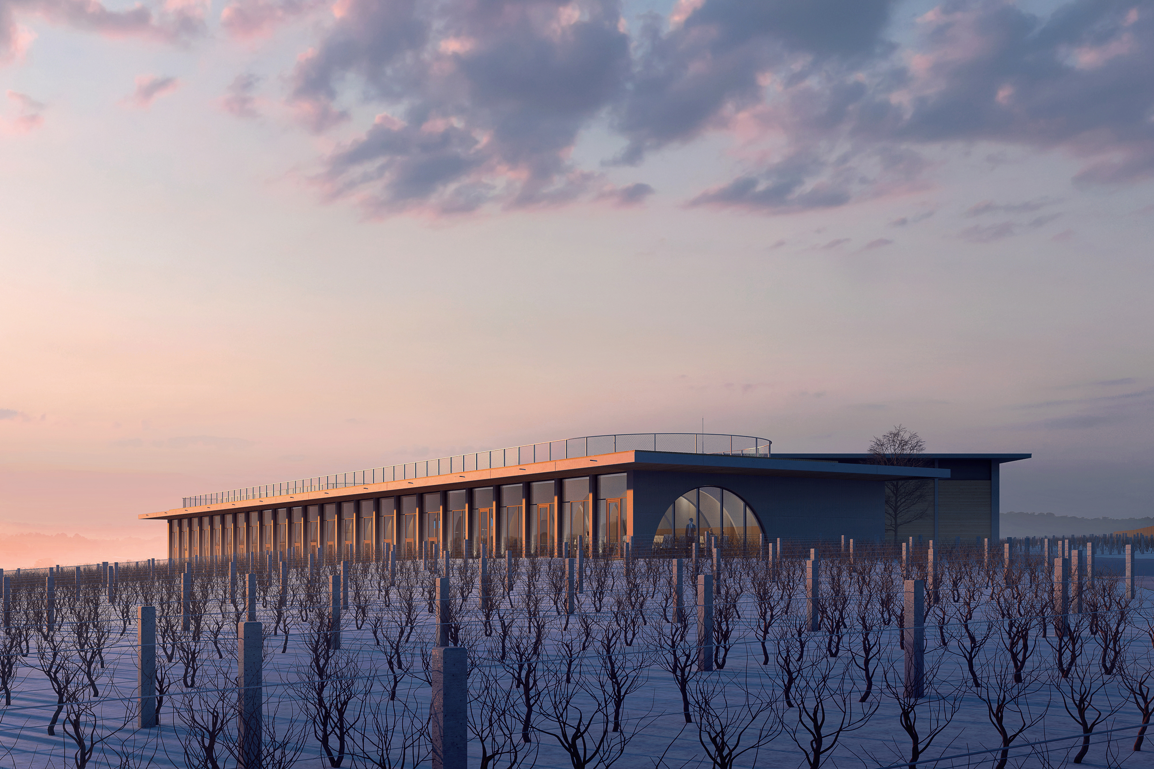 visualization render image sunset