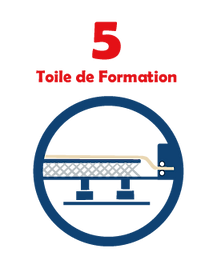 Toile de formation