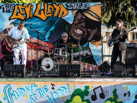 Funky Friday Summer Concerts