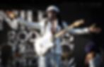 Nile Rodgers