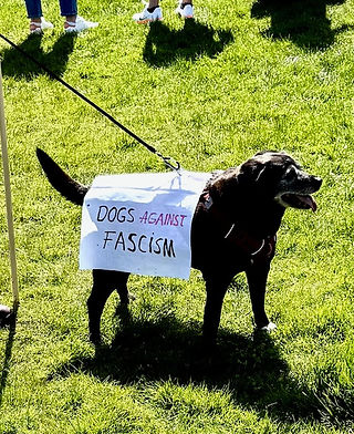From Portland Protest. Photo Credit: Terry McGraw