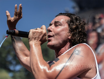 Gavin Rossdale | Bush