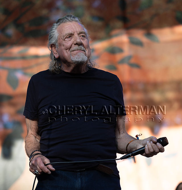 Robert Plant