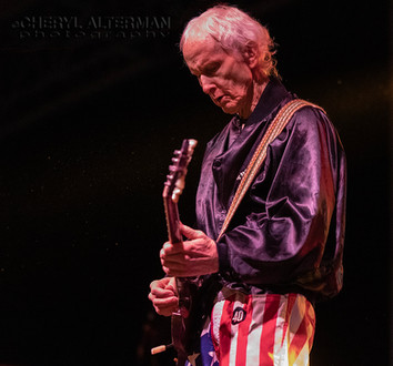 Robby Krieger (The Doors)