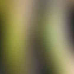 Arlen Ness motoros ruha tisztítás