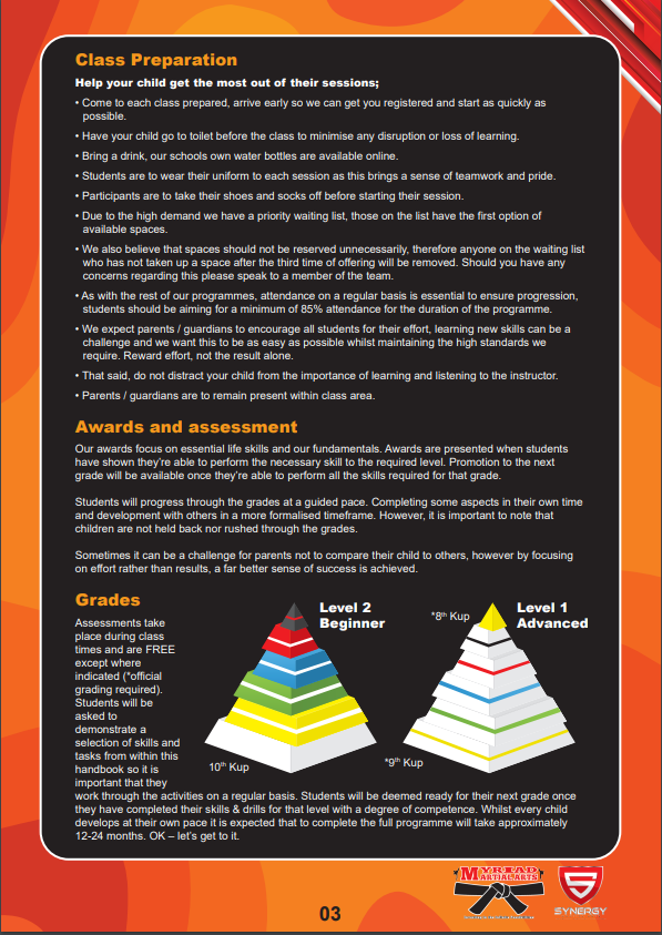 Thumbnail: Synergy Programme Syllabus - Kids