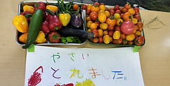 IMG_20250712_144013.jpg