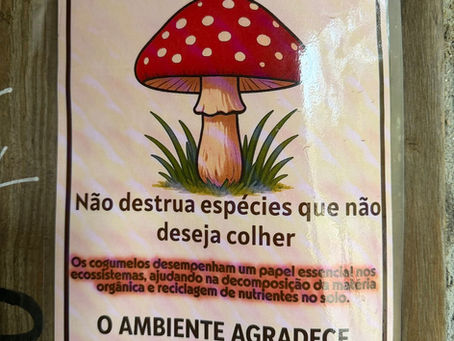 Covão d’Ametad - Torre peak - Nave de Santo António-Covão d’Ametad (סרה דה אשטרלה)